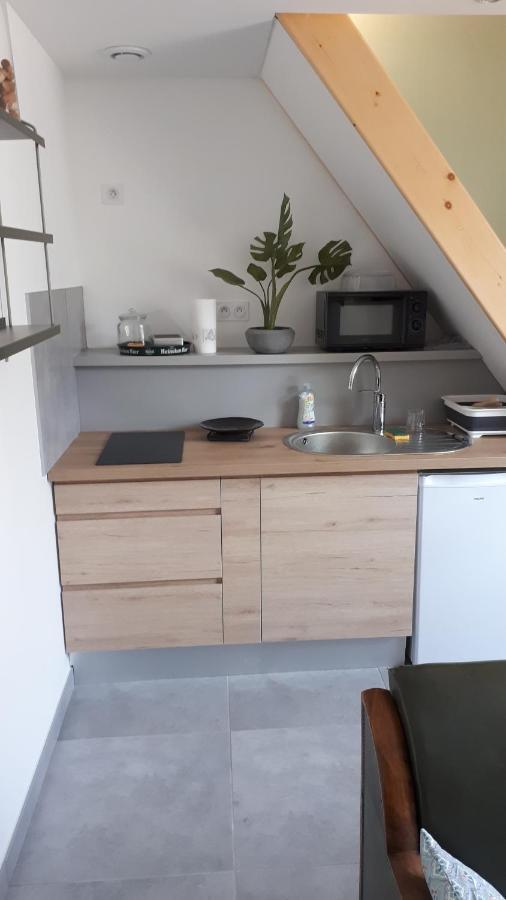 Le Chartreuse / Rent4Night Grenoble Apartman Kültér fotó